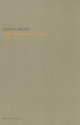 The Feeling of Things by Adam Caruso