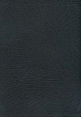 Nasb Macarthur Study Bible Indexed