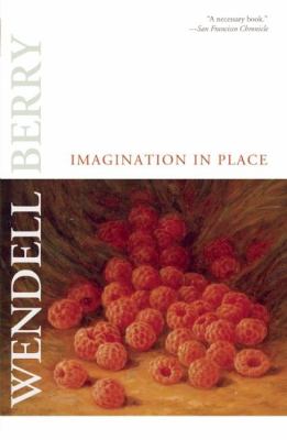 Imagination in Place